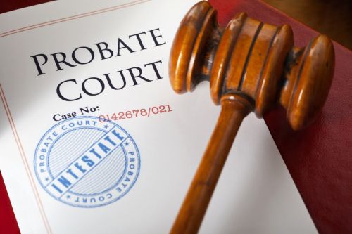 clooue up of probate court case docket and gavel - avoid probate concept