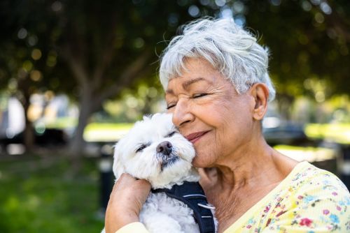 a senior woman hugging her small white dog - estate planning for pets concept